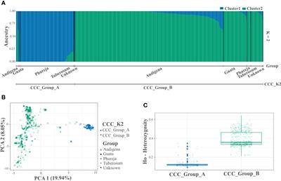 Defining a diverse core collection of the Colombian Central Collection of potatoes: a tool to advance research and breeding